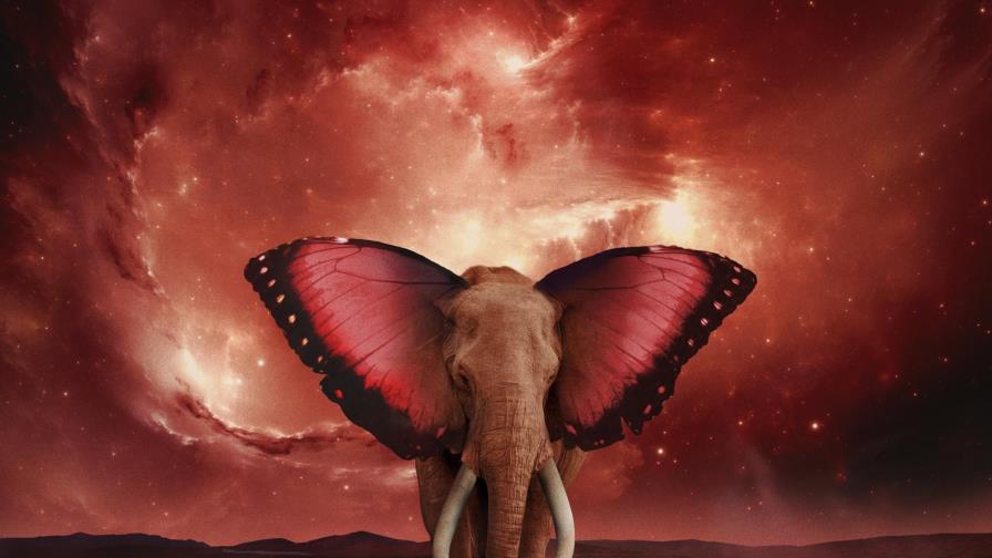 Reseña: Invitados llevan a Tom Morello por un viaje intenso