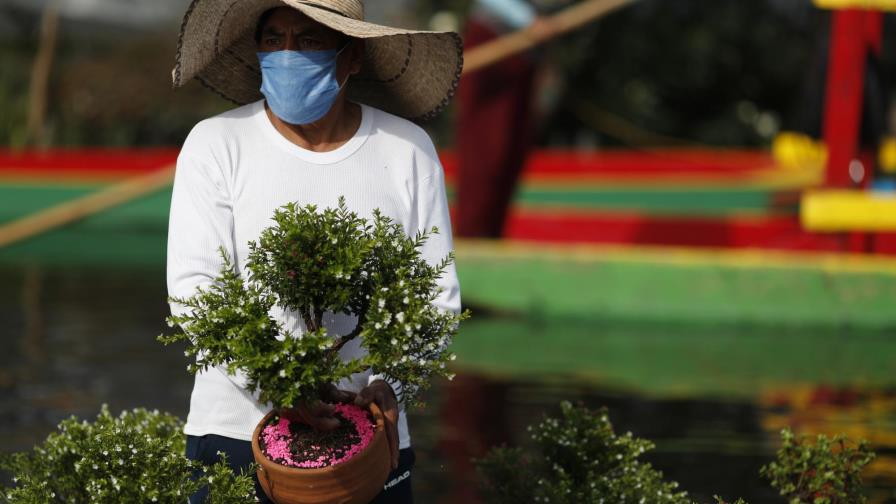 México: Autoridades temen estancamiento de casos de COVID-19 México: Autoridades temen estancamiento de casos de COVID-19