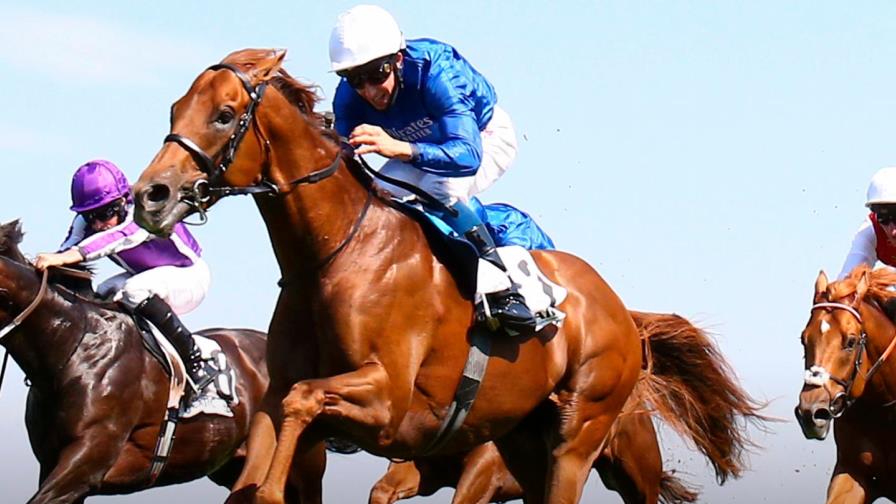 La Quinté paga RD$481,329 en carreras de la Parti Mutuel Urbain (PMU)