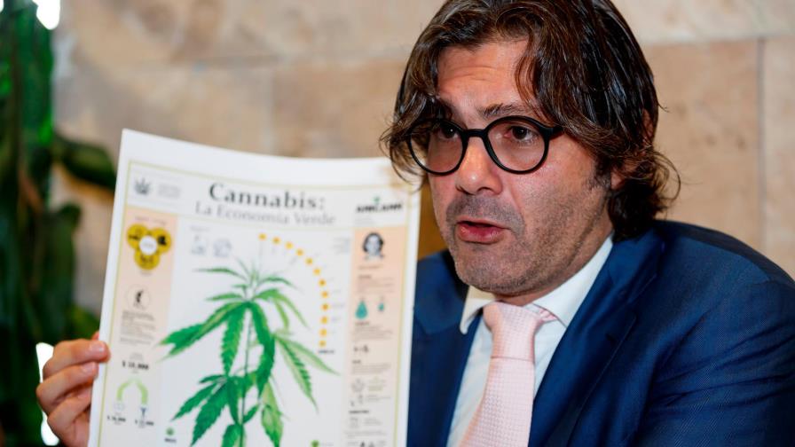 Empresarios mexicanos se preparan para el boom de la industria del cannabis