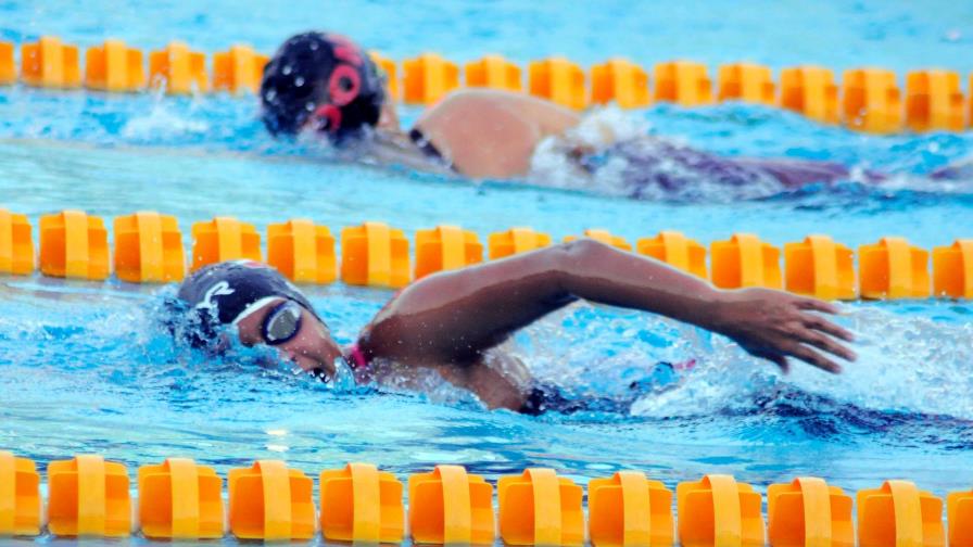 Anuncian invitacional Internacional Delfines de Naco Anuncian invitacional Internacional Delfines de Naco