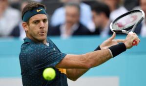 Del Potro y Federer no jugarán partido de exhibición 