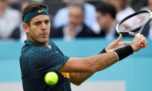 Del Potro y Federer no jugarán partido de exhibición 