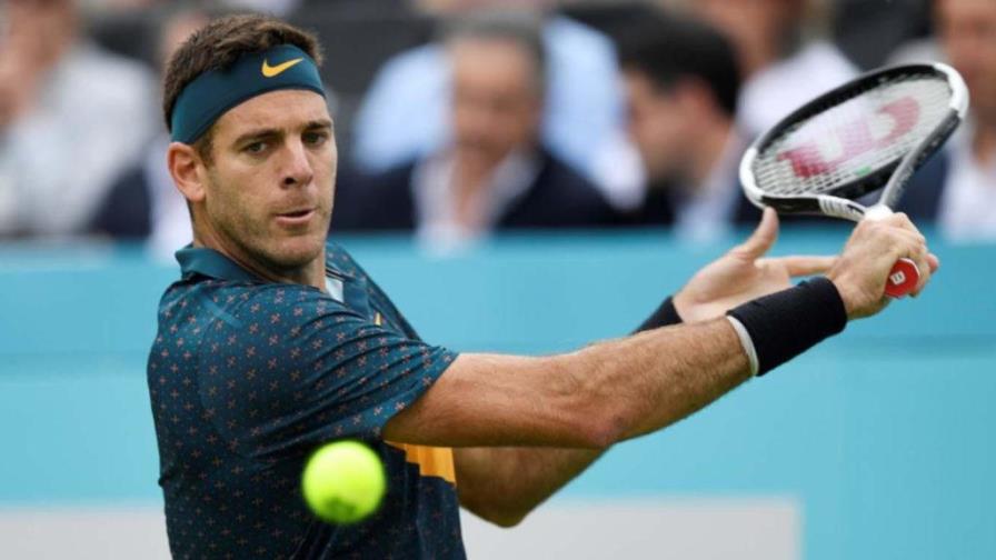 Del Potro y Federer no jugarán partido de exhibición 