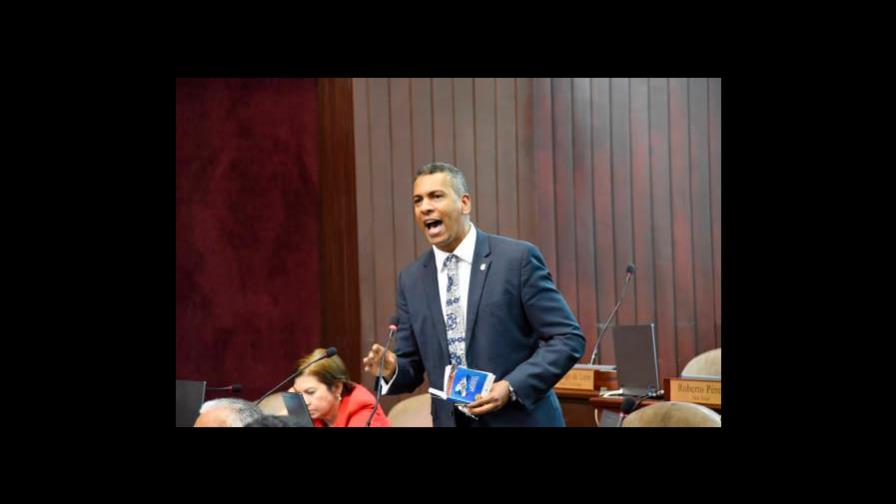 Danilista presidiría Cámara de Diputados contrario a lo acordado por el Comité Político