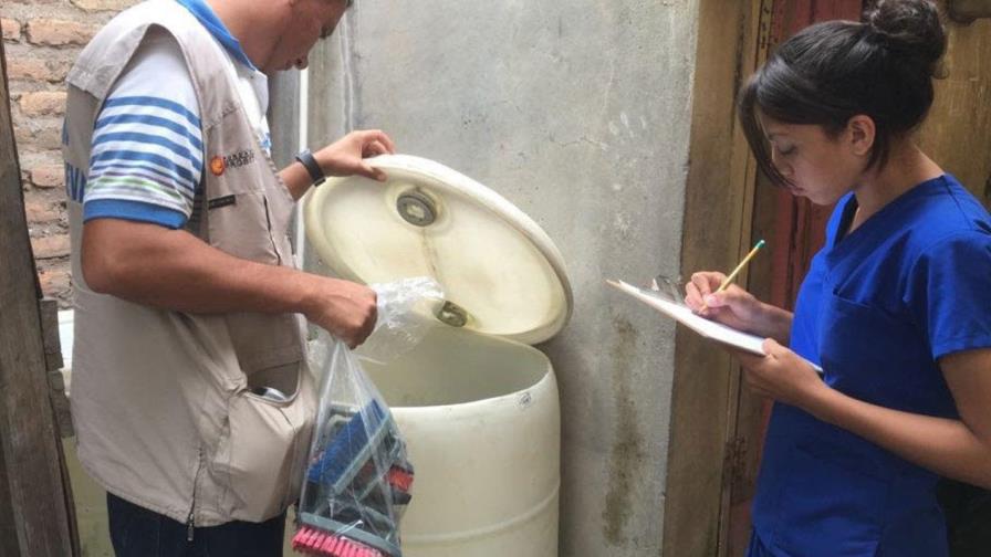 OPS llama a países mantener esfuerzo para abordar el dengue y otras arbovirus 