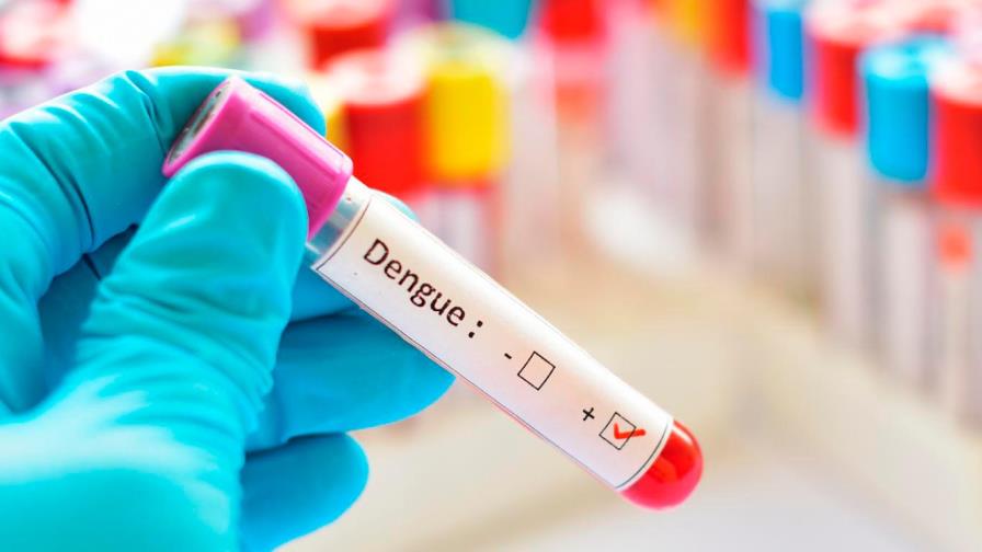 Una investigación argentina permite detectar el dengue en diez minutos Una investigación argentina permite detectar el dengue en diez minutos