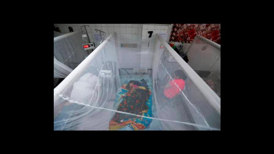 El cambio climático favorece propagación del dengue, afirman especialistas El cambio climático favorece propagación del dengue, afirman especialistas