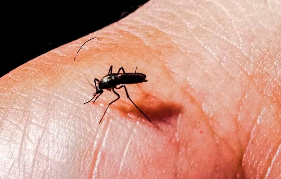 La epidemia de dengue provoca ya 27 muertes  