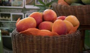 Cancelan Expomango 2020 por el coronavirus