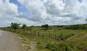 El CEA, otra instituci&oacute;n con esc&aacute;ndalos de corrupci&oacute;n que ser&aacute; cerrada por Abinader