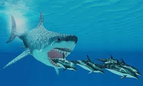 Revelan el tamaño real del megalodón, el tiburón prehistórico