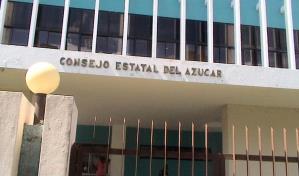 Detectan poderosas mafias que lideran invasiones de terrenos del Estado