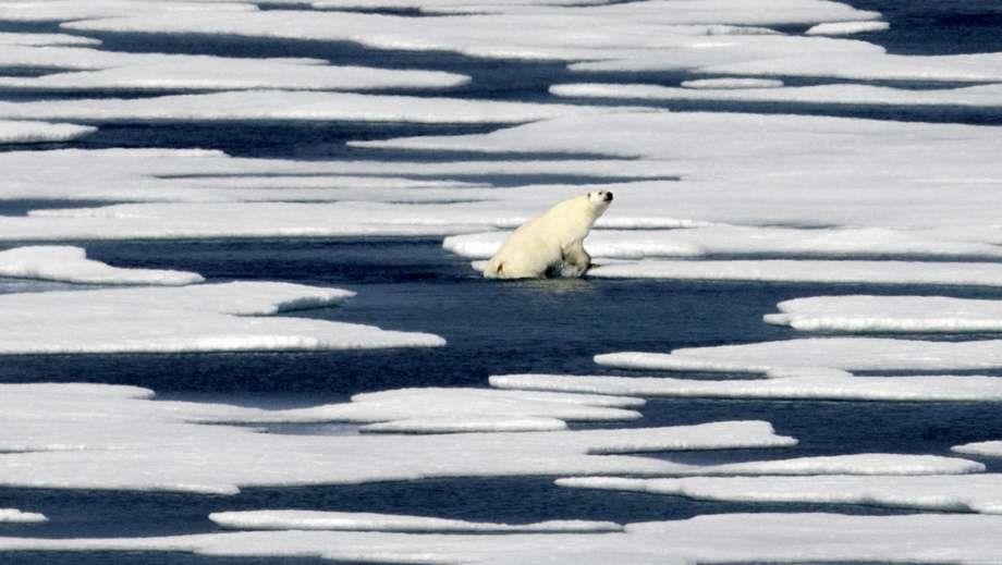 Inesperado derretimiento de hielo en Antártida y Ártico