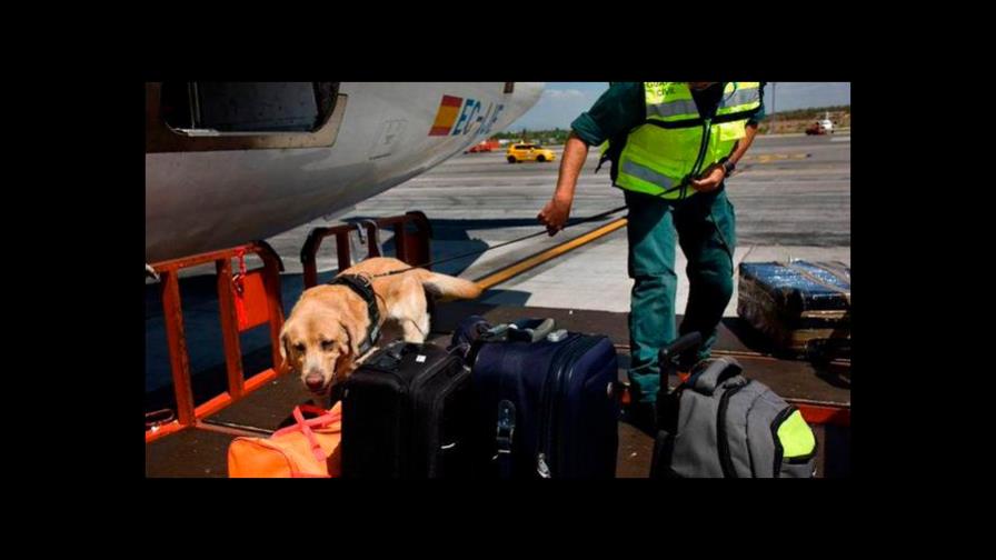 Un hombre es detenido en aeropuerto por intentar viajar con 68 aves ocultas