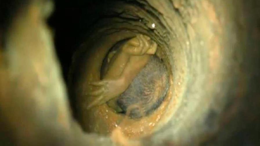 El rescate de un niño de dos años atrapado en un pozo conmueve a la India