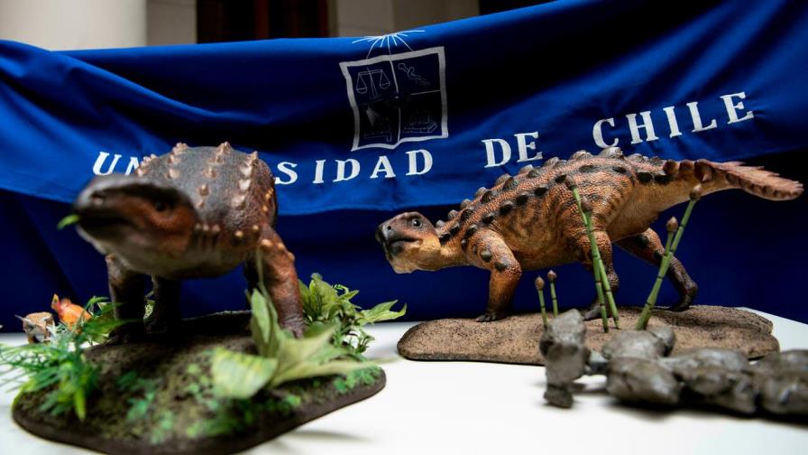 El “Stegouros”, el dinosaurio descubierto en Chile con una cola que desconcierta a científicos El “Stegouros”, el dinosaurio descubierto en Chile con una cola que desconcierta a científicos