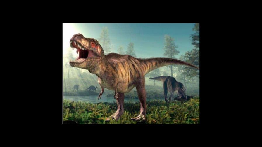 Descubren en Brasil uno de los antepasados más antiguos del Tyrannosaurus Rex