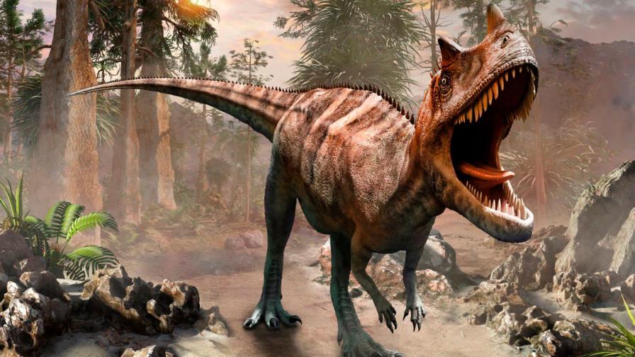 Un cometa de los confines del sistema solar acabó con los dinosaurios, dice estudio