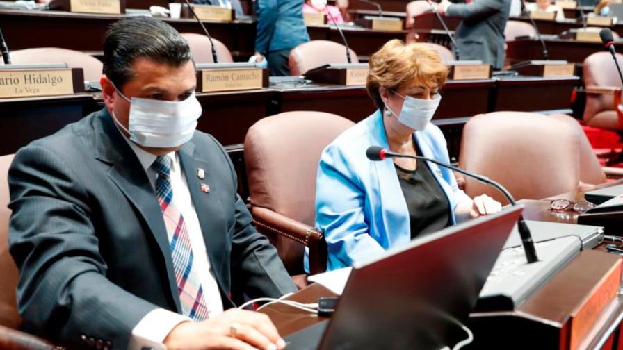 Proyecto cursa en Cámara de Diputados busca dar legalidad a viceministerios