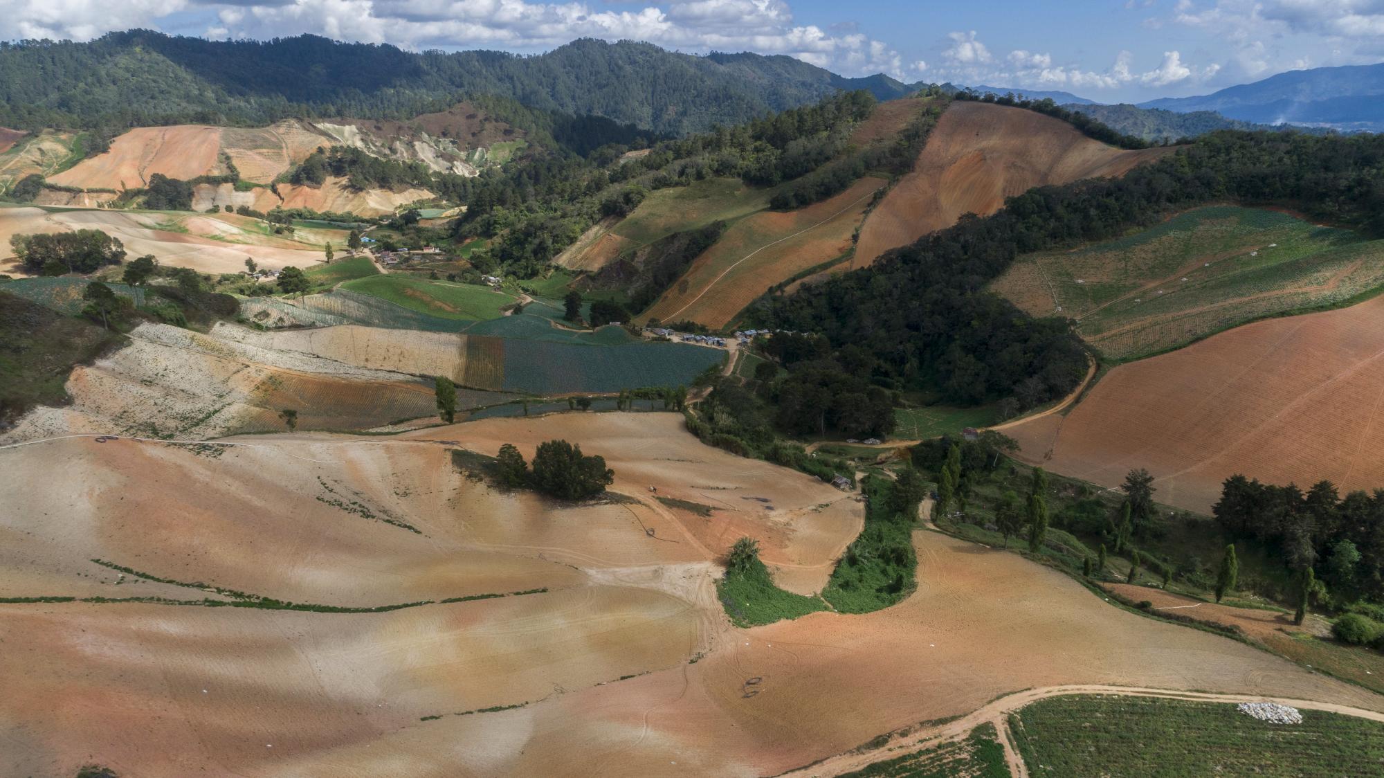 Parte del bosque deforestado en Montellano, Tireo, para dar paso a la actividad agrícola.
