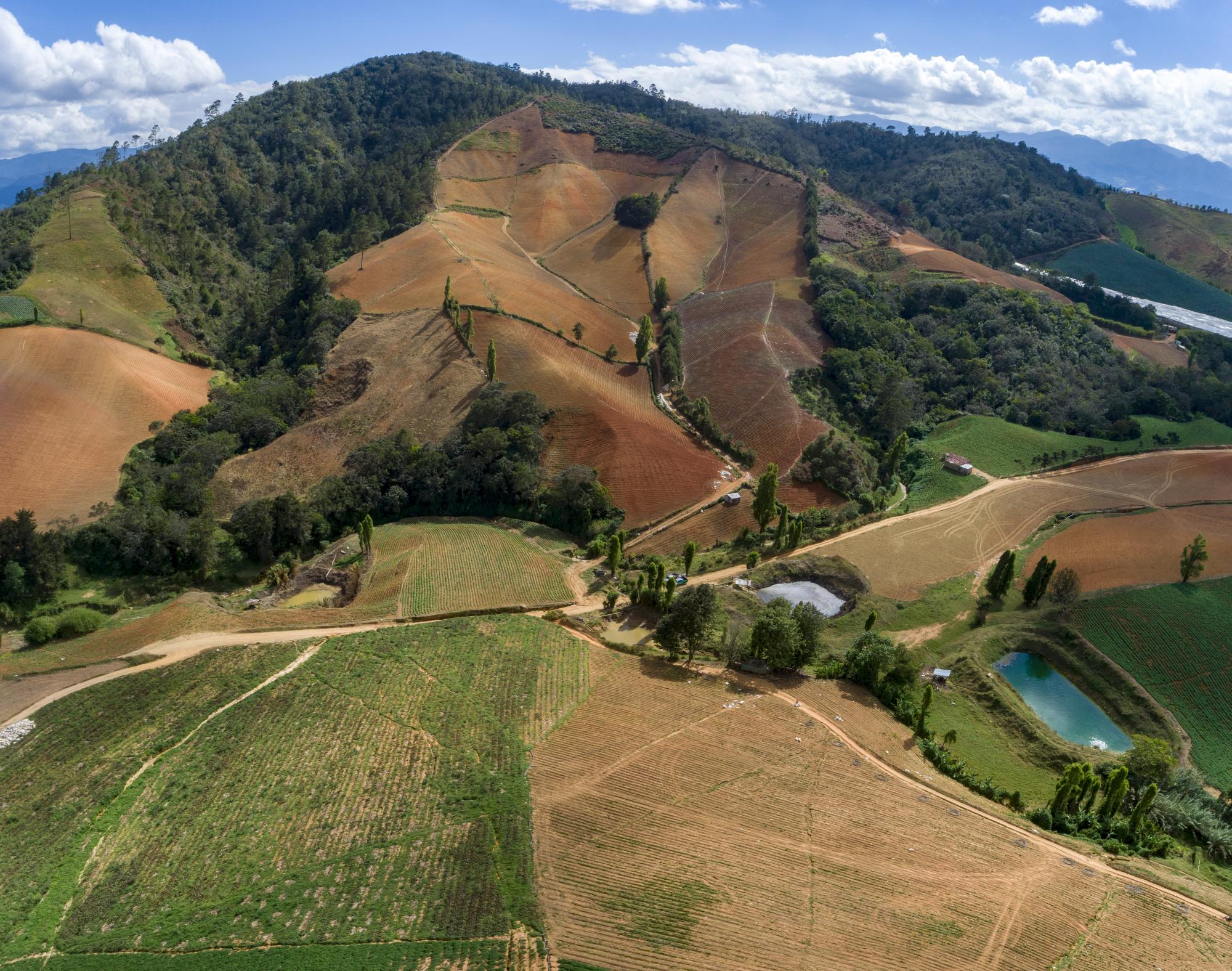 Algunos de los pozos que agricultores llenan con agua del subsuelo para poder regar sus cultivos.  