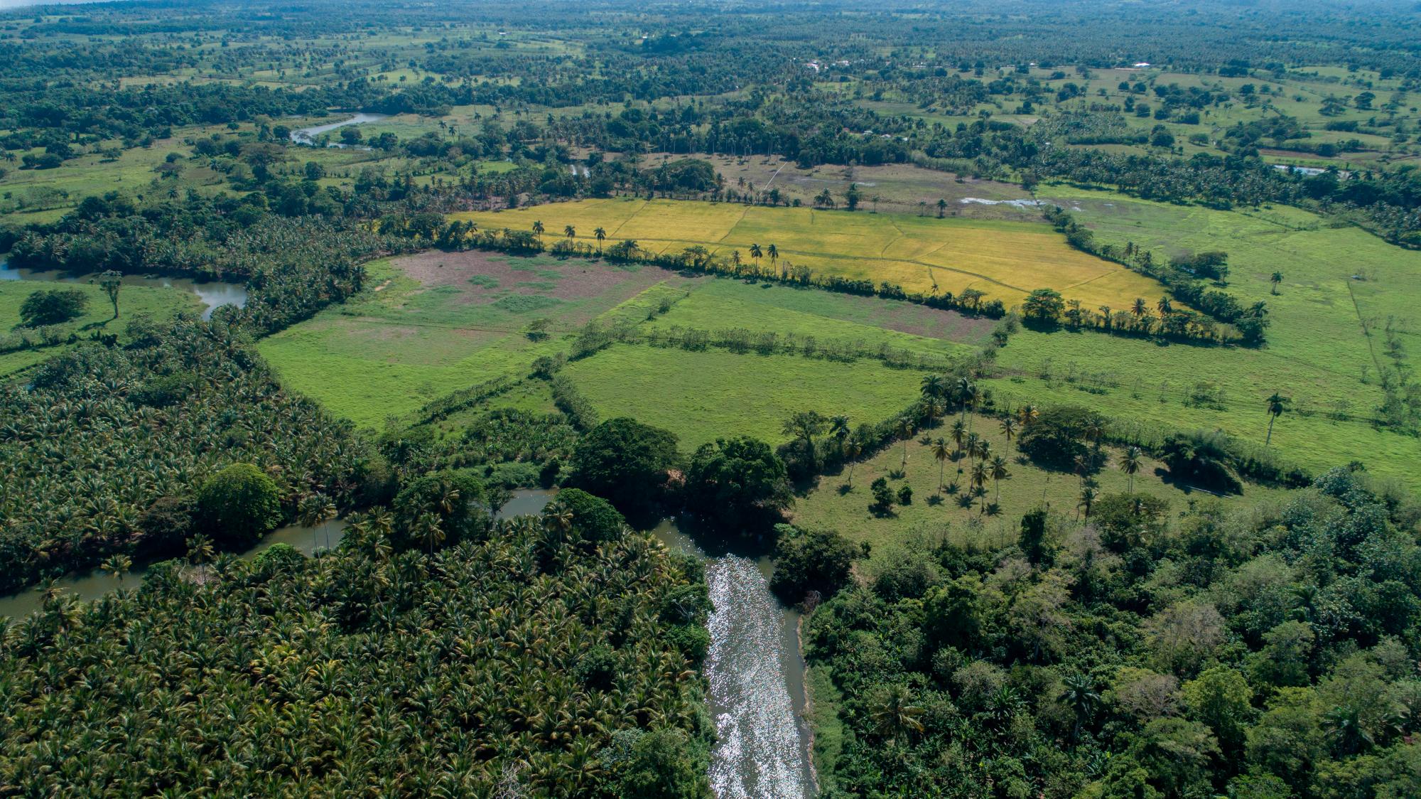 Vista aérea de la zona arrocera de Nagua donde se puede ver el río Boba.