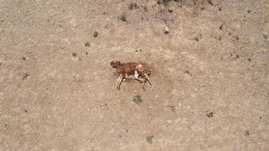 De Odebrecht a Las Agüitas, una comunidad que se quema en la sequía