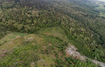 Sierra de Bahoruco: una larga lucha entre conservación y agricultura