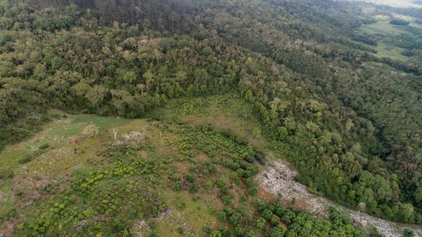 Sierra de Bahoruco: una larga lucha entre conservación y agricultura