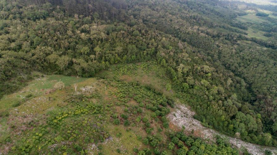 Sierra de Bahoruco: una larga lucha entre conservación y agricultura