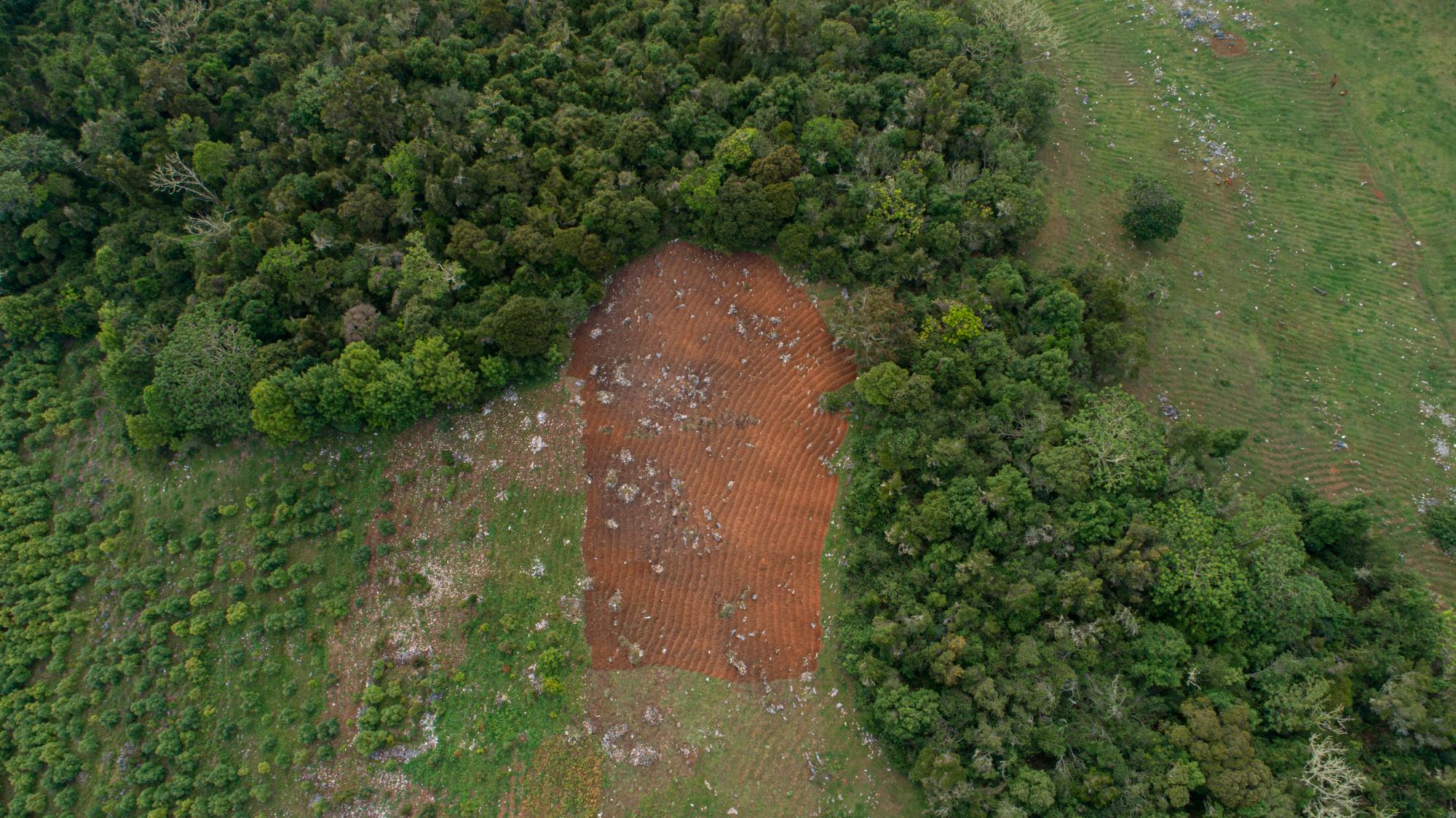 Terreno preparado para sembrar dentro del parque el 12 de agosto de 2019.