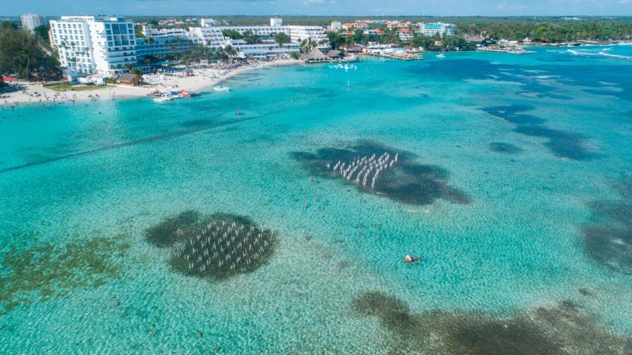 Una segunda oportunidad para la biodiversidad de Boca Chica