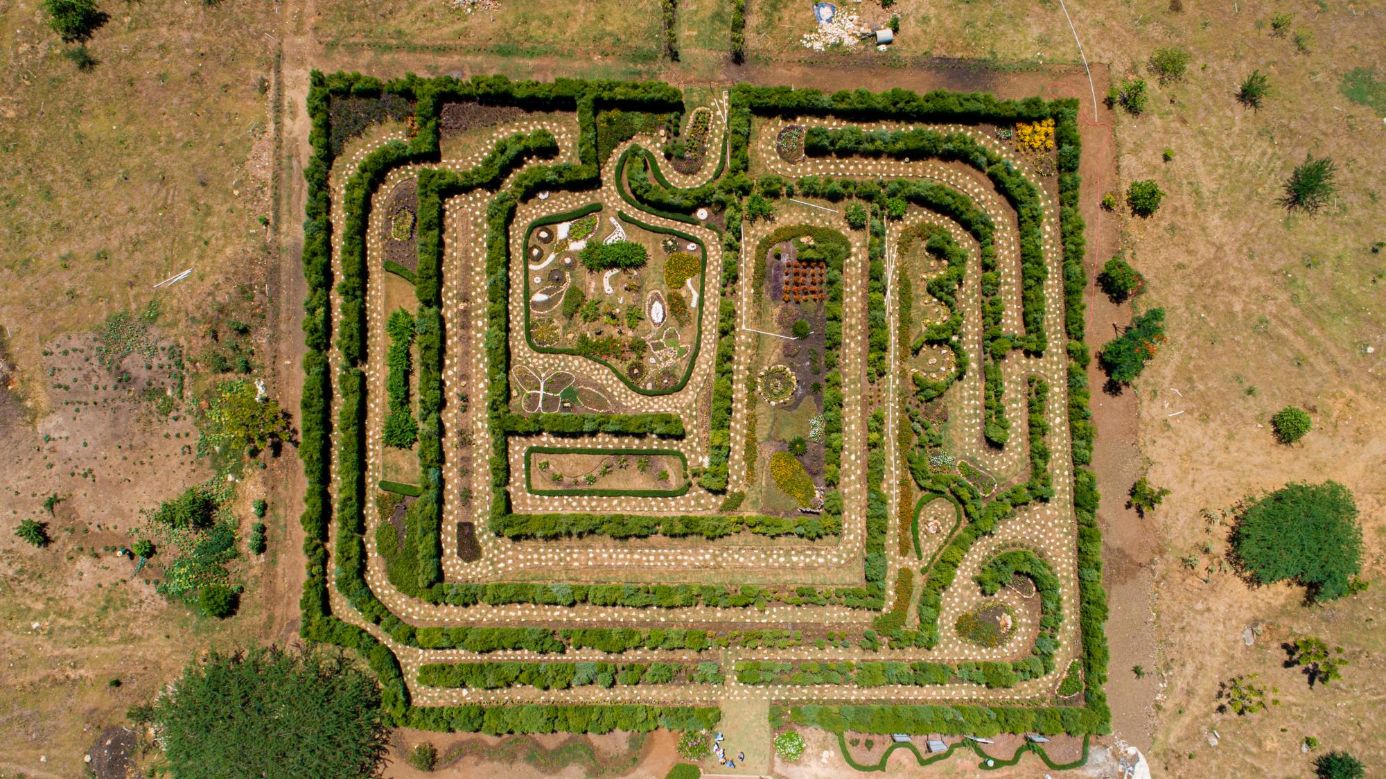 Vista aérea del laberinto de árboles.
