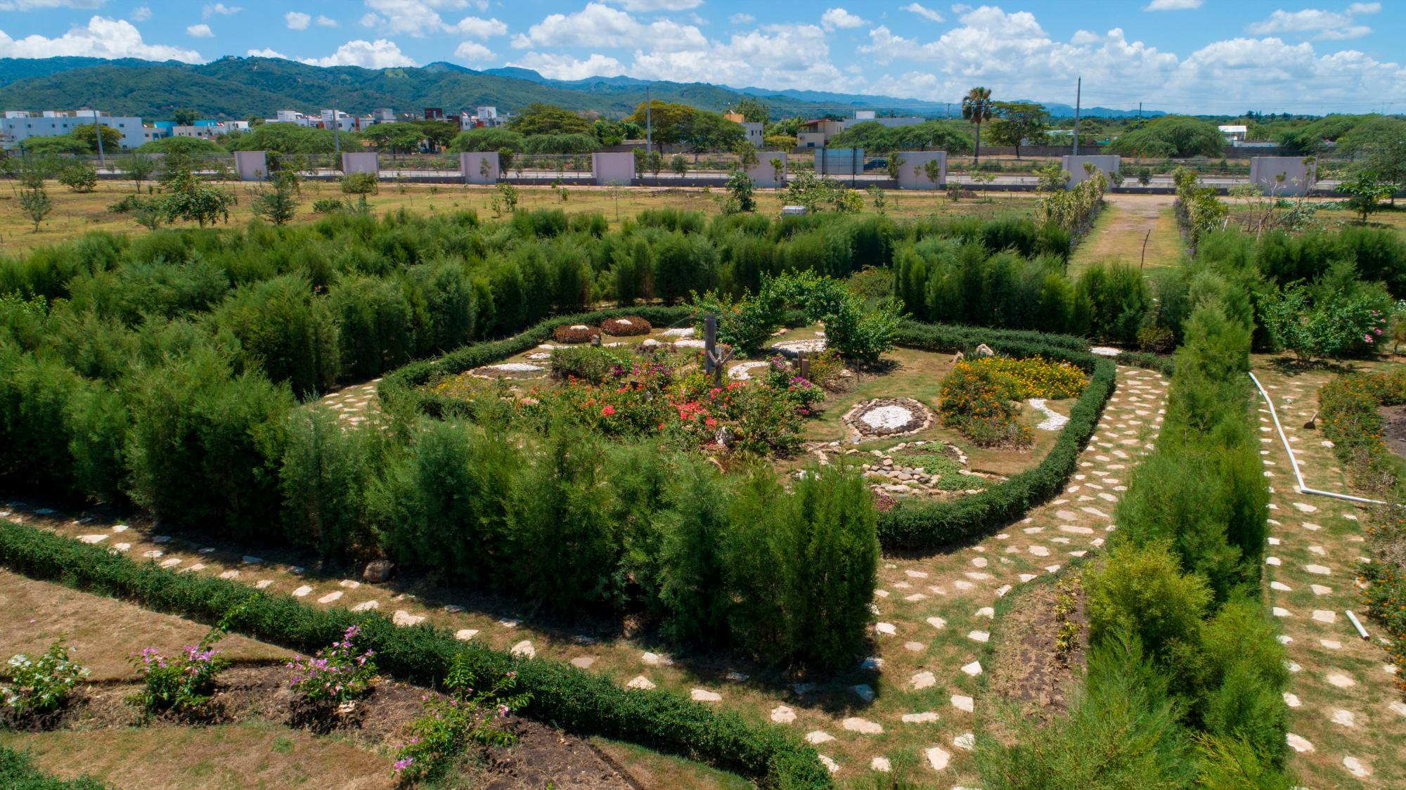 A pesar de la sequía el laberinto sigue creciendo.