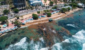 De mayo a julio aumentará presencia de sargazo en RD