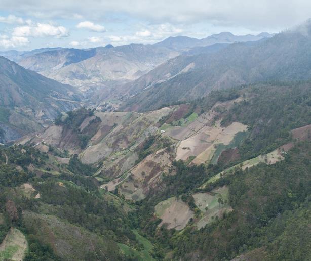 La siembra latente que amenaza la preservación de Valle Nuevo