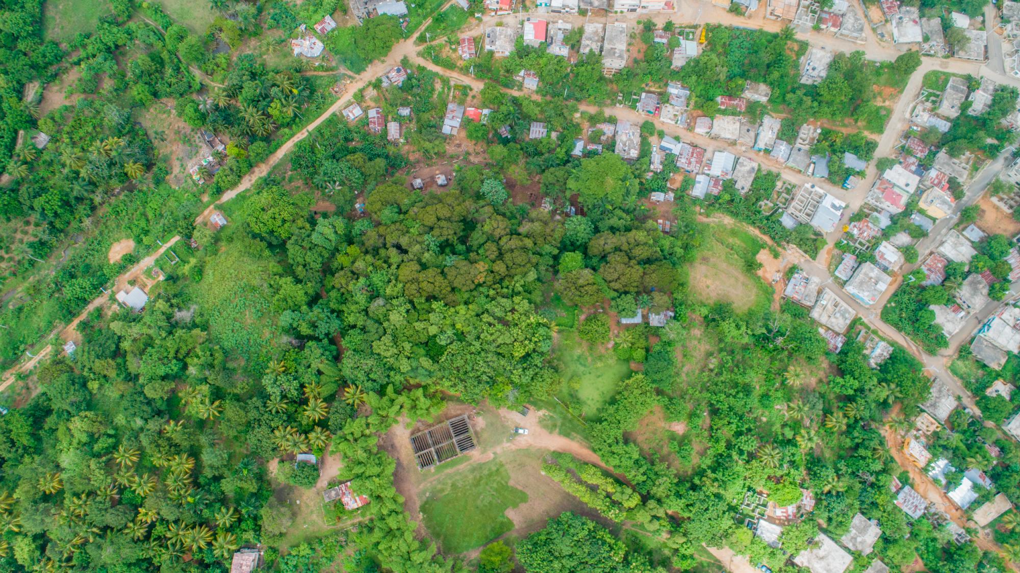 La construcción de casuchas se acerca cada vez más al área protegida del Palacete. 