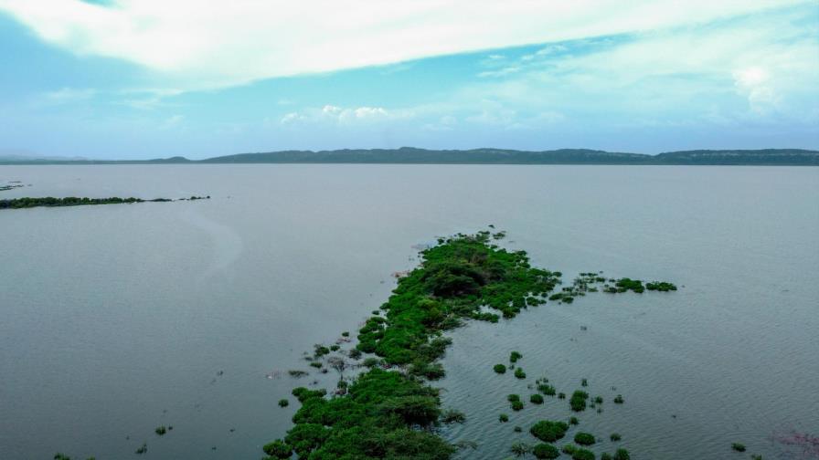 Medio Ambiente llama a preservar los humedales
