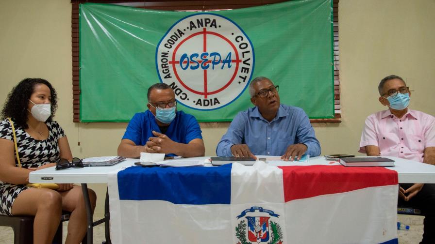 Médicos veterinarios afirman el Gobierno no tiene un plan para eliminar Peste Porcina Africana