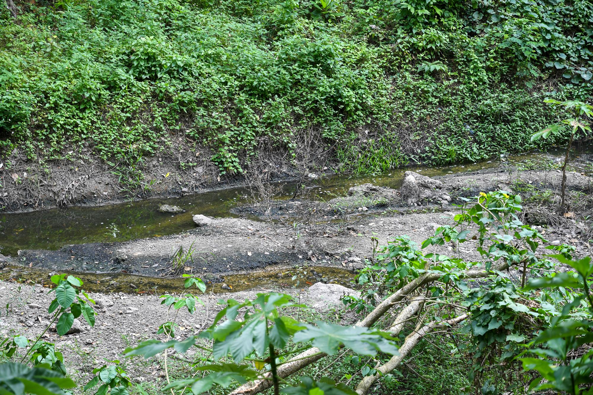 En está parte el agua ya llega cristalina para llegar al río Isabela.
