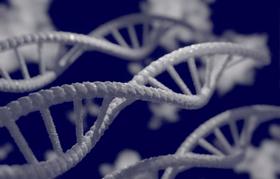 OMS emite primeras recomendaciones sobre la manipulación del genoma humano