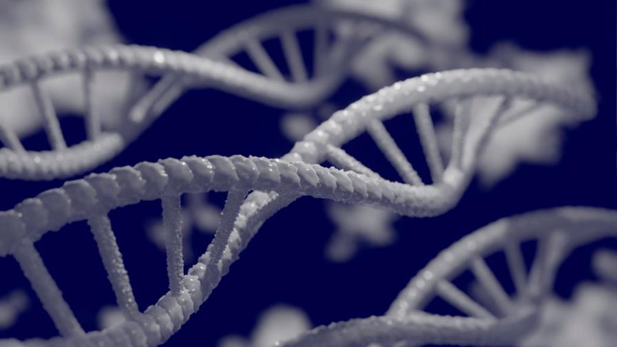OMS emite primeras recomendaciones sobre la manipulación del genoma humano