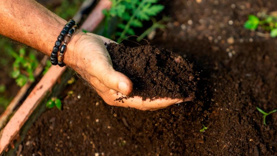 Ford invita a organizaciones ambientales sin fines de lucro a participar de su programa Donativos Ambientales