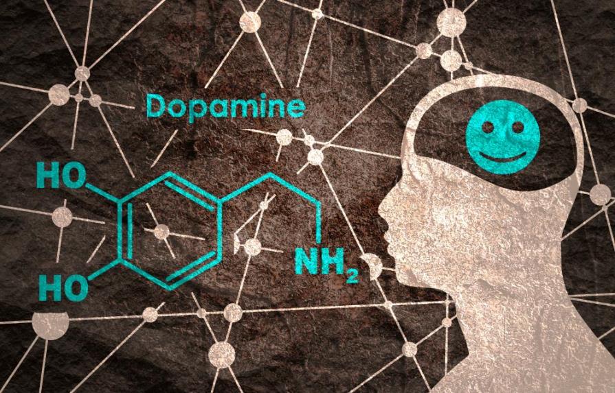 Dopamina, la molécula que rige nuestra mente