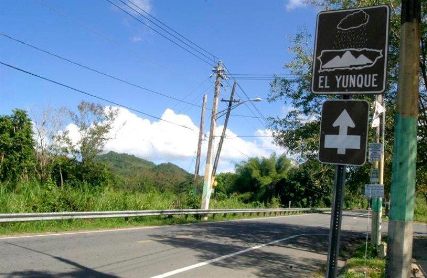 Autoridades buscan a tres turistas desaparecidos en el oriente de Puerto Rico
