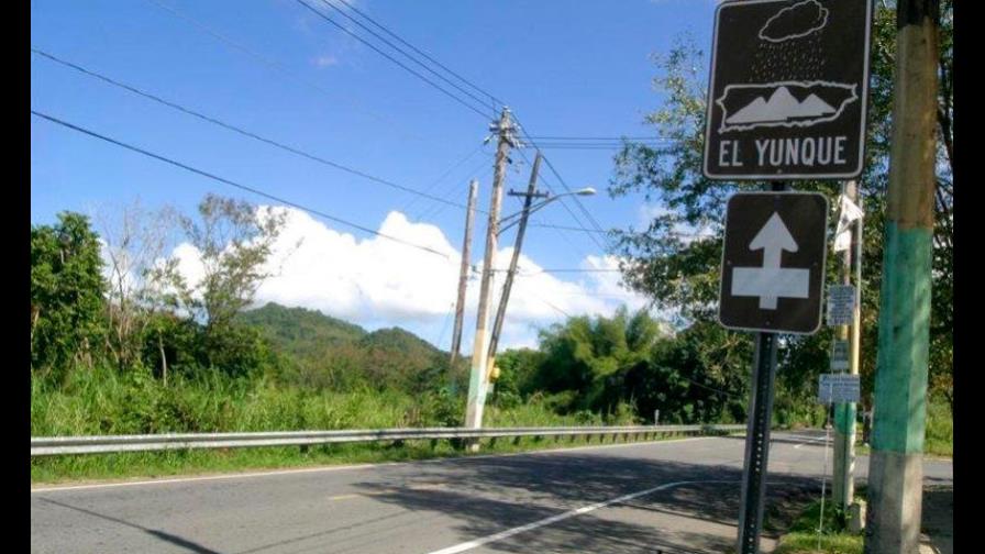 Autoridades buscan a tres turistas desaparecidos en el oriente de Puerto Rico Autoridades buscan a tres turistas desaparecidos en el oriente de Puerto Rico