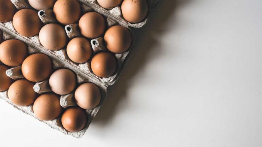 ProCompetencia inicia investigación en mercado de huevos de gallinas