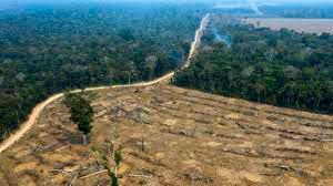 EEUU saluda compromiso de Brasil sobre deforestación, pero pide “medidas inmediatas”
