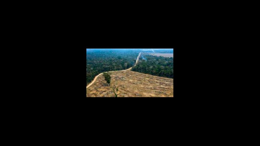EEUU saluda compromiso de Brasil sobre deforestación, pero pide “medidas inmediatas”
